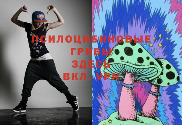 прущая мука Нея